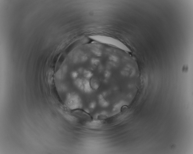 X0000112020671200908241516