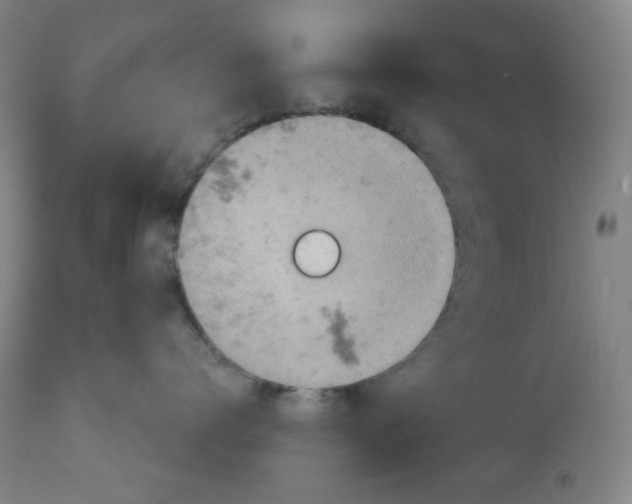 X0000112020672200908241516