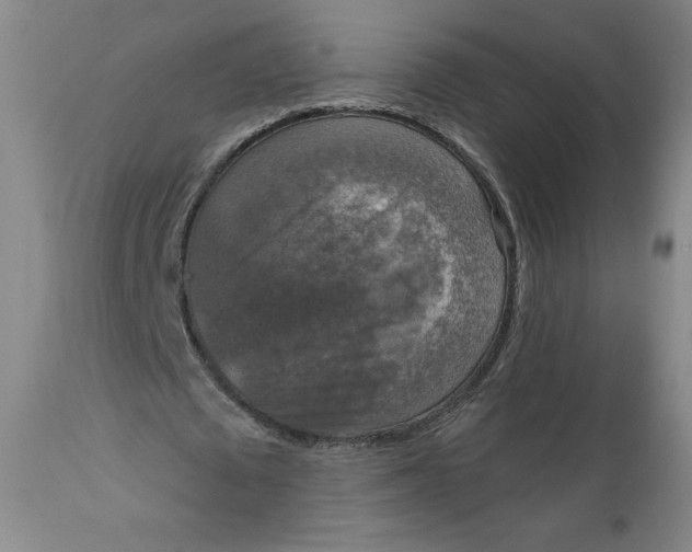 X0000112020673200908241515