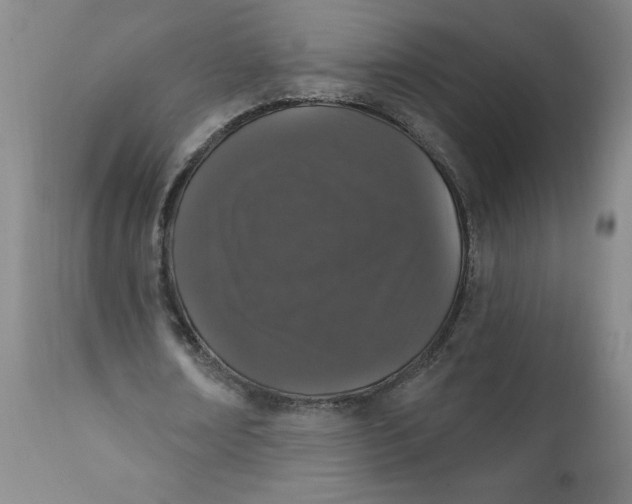 X0000112020674200908241515