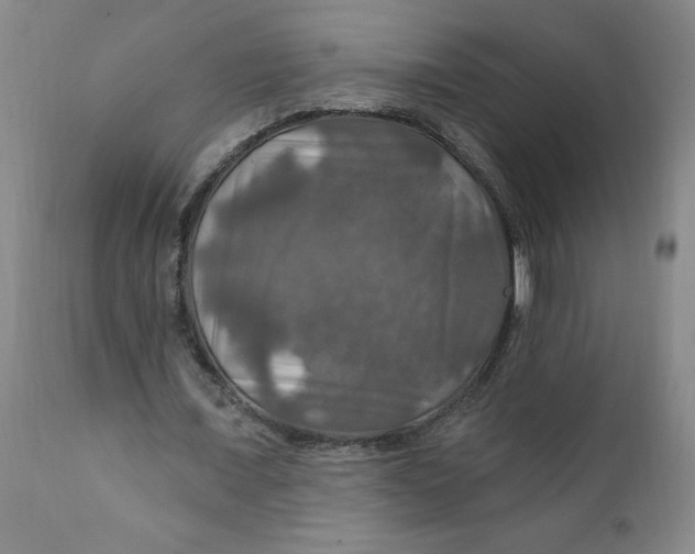 X0000112020675200908241515