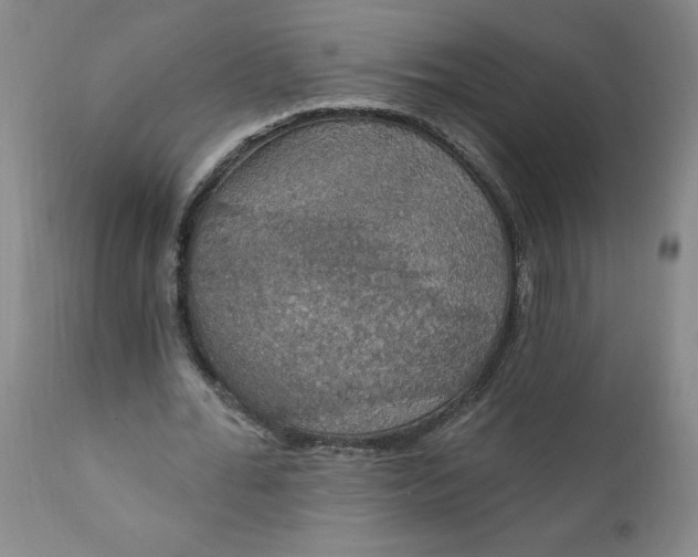 X0000112020676200908241515