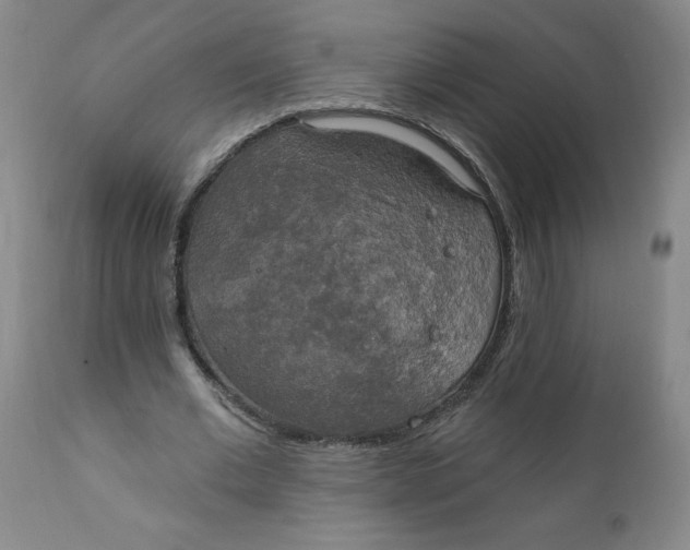 X0000112020677200908241515