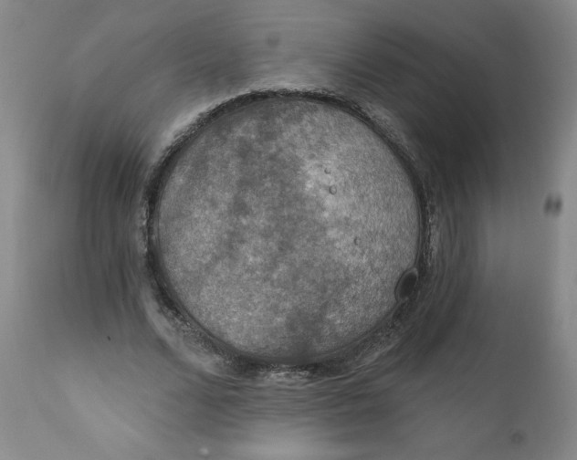 X0000112020680200908241515