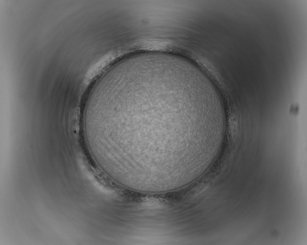 X0000112020682200908241515