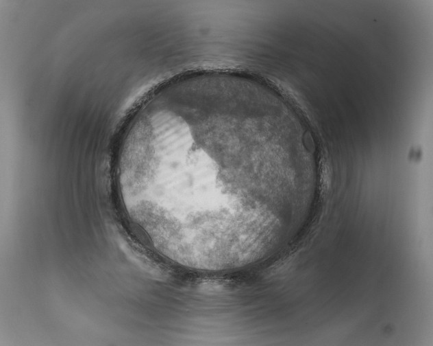 X0000112020684200908241515