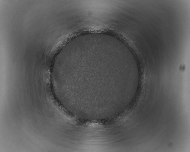 X0000112020689200908241515