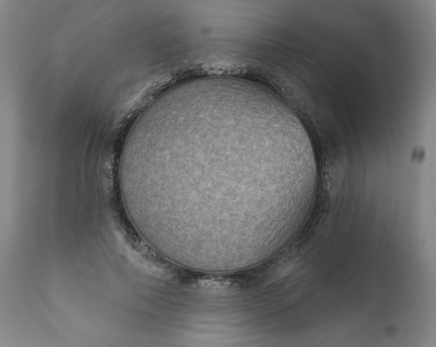 X0000112020690200908241515