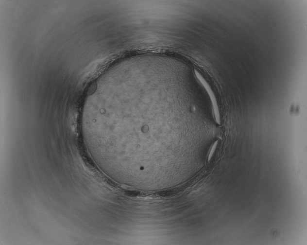 X0000112020693200908241515