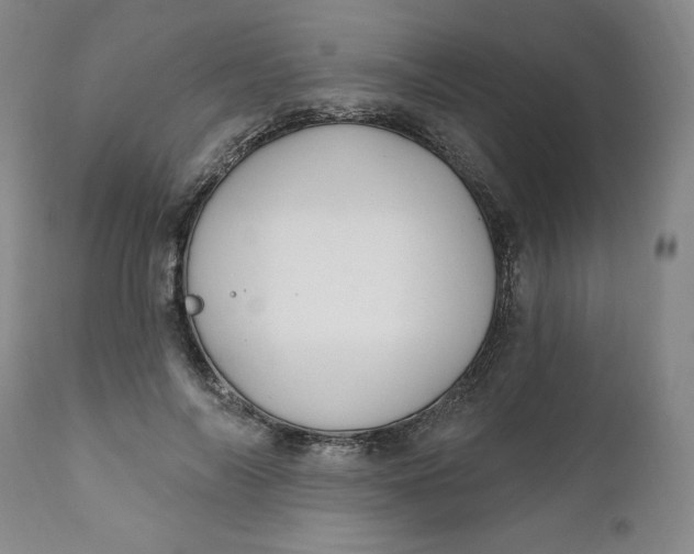 X0000112020694200908241515