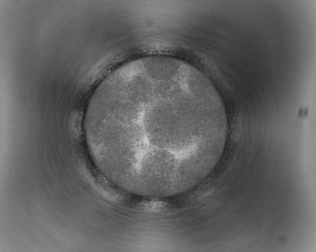 X0000112020695200908241515