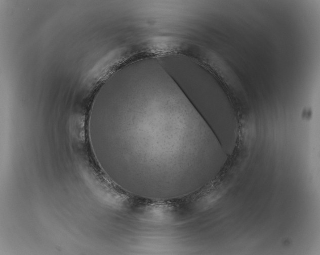 X0000112020696200908241515