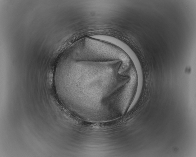 X0000112020697200908241515