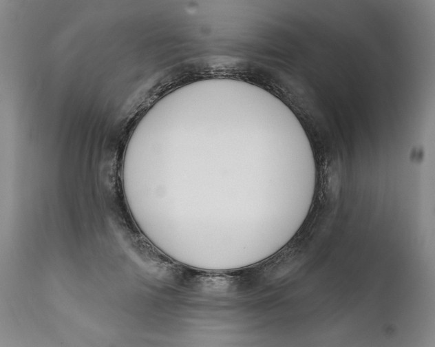 X0000112020698200908241515