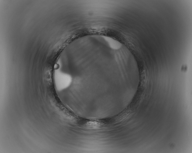 X0000112020699200908241515