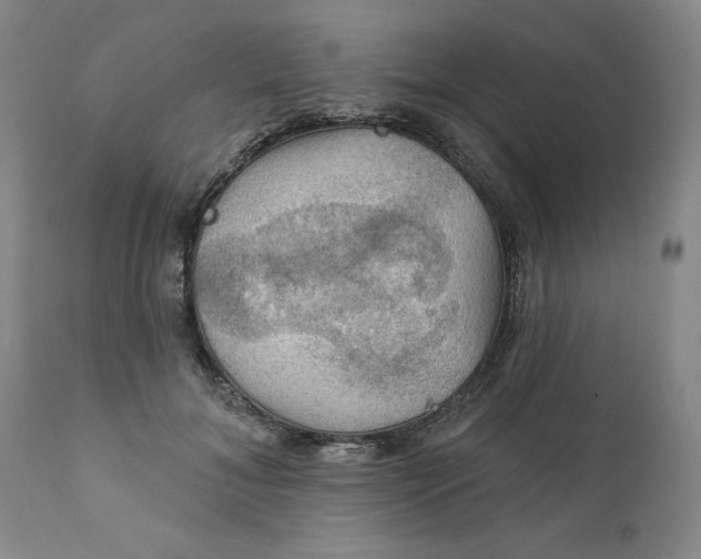 X0000112020700200908241515