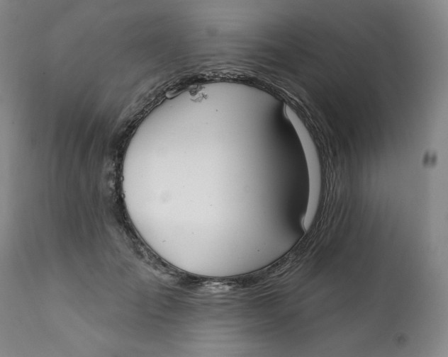 X0000112020701200908241515