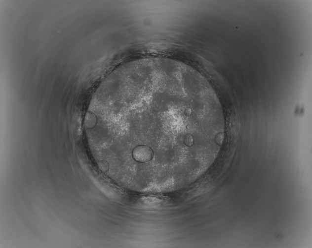 X0000112020703200908241515