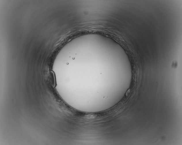 X0000112020704200908241515