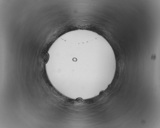 X0000112020705200908241515