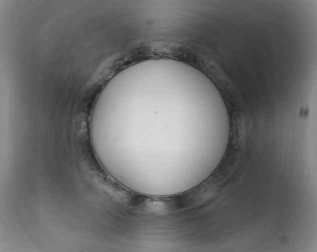 X0000112020706200908241515