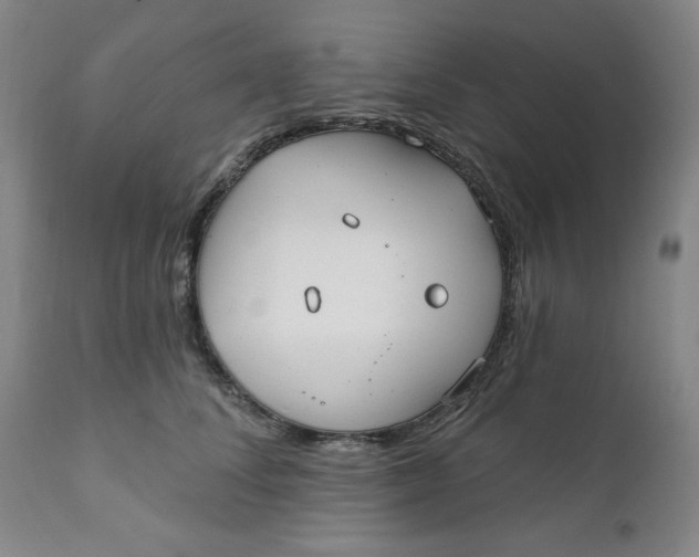 X0000112020708200908241515