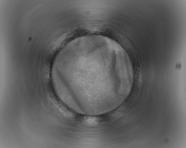 X0000112020710200908241515