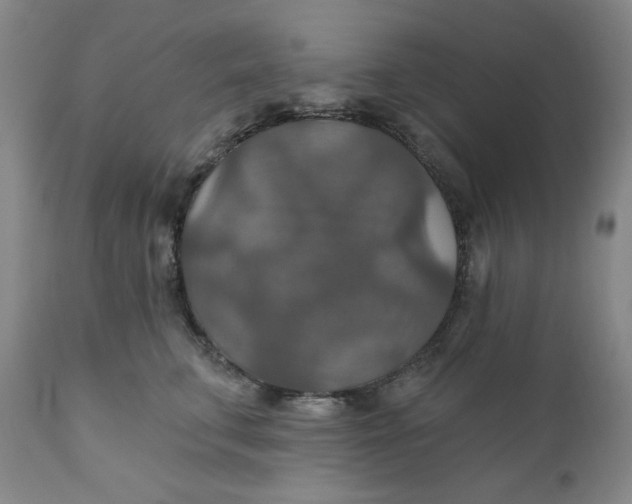 X0000112020711200908241515