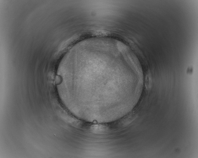 X0000112020714200908241515