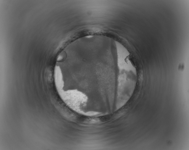 X0000112020715200908241515