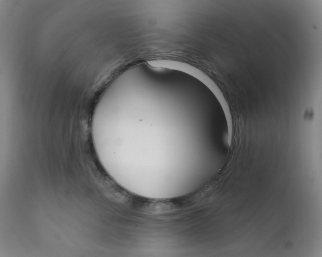 X0000112020716200908241515