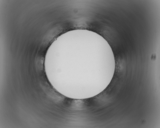 X0000112020717200908241515