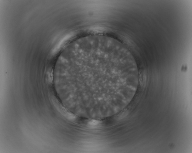 X0000112020718200908241515