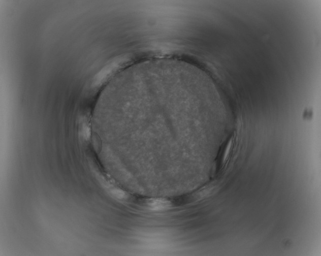 X0000112020719200908241515