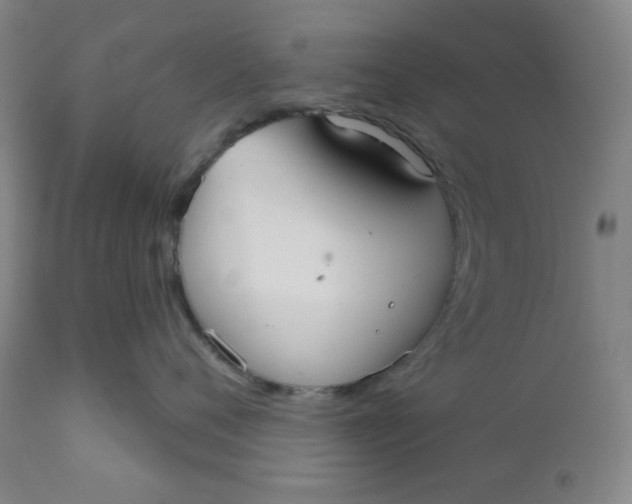 X0000112020720200908241515