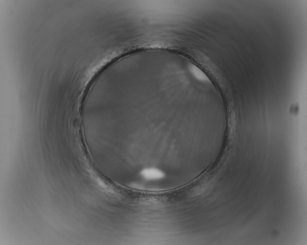 X0000112020721200908241514