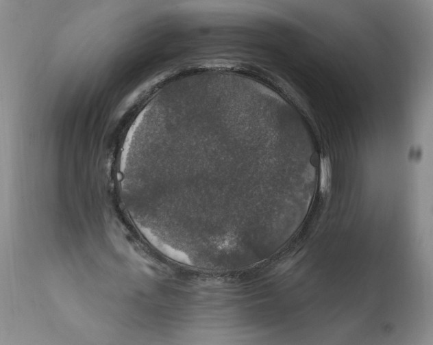 X0000112020723200908241514