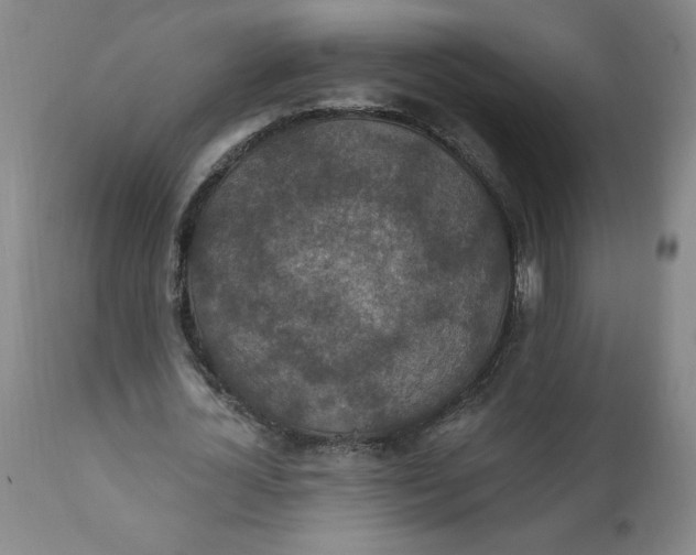 X0000112020724200908241514