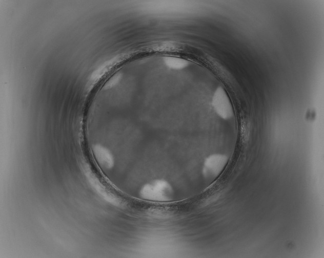 X0000112020725200908241514