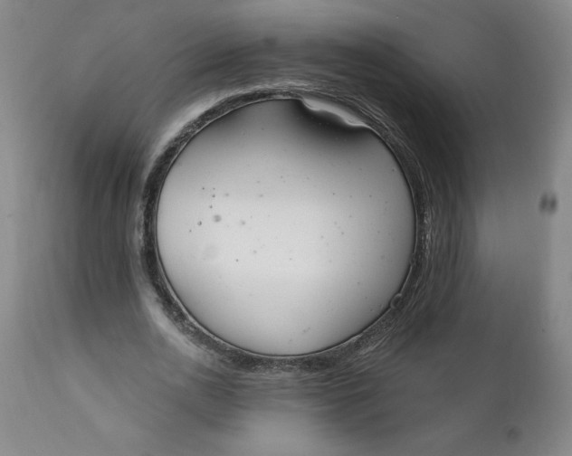 X0000112020726200908241514