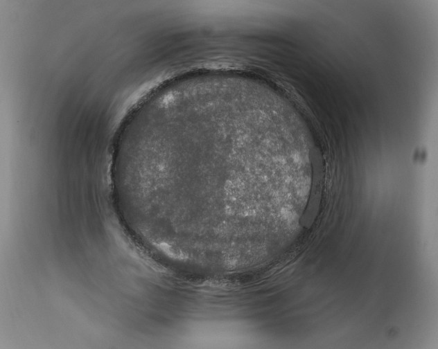 X0000112020727200908241514