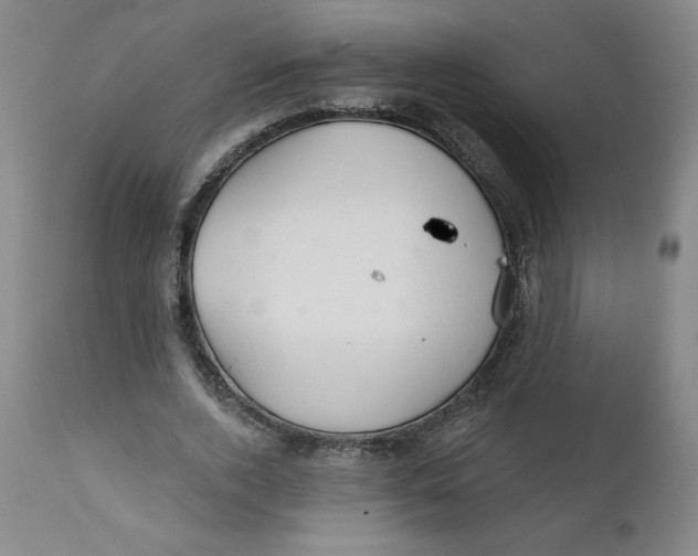 X0000112020728200908241514