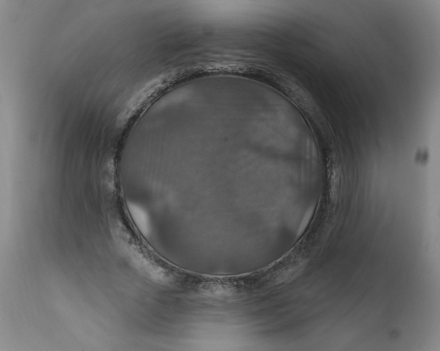 X0000112020729200908241514