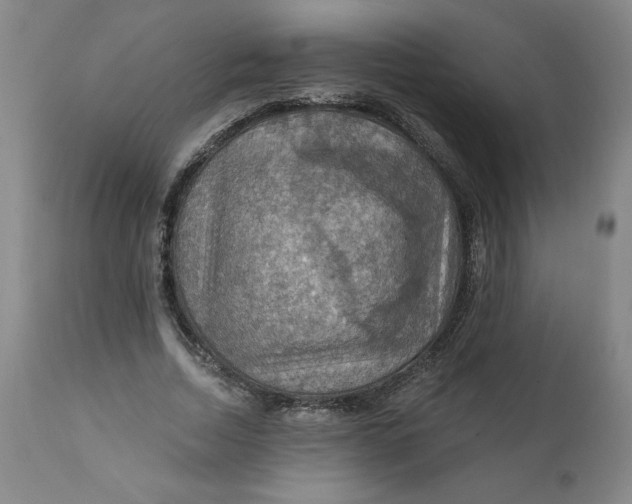 X0000112020730200908241514