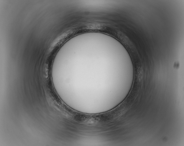 X0000112020731200908241514