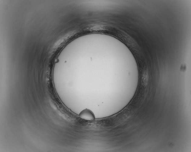 X0000112020732200908241514