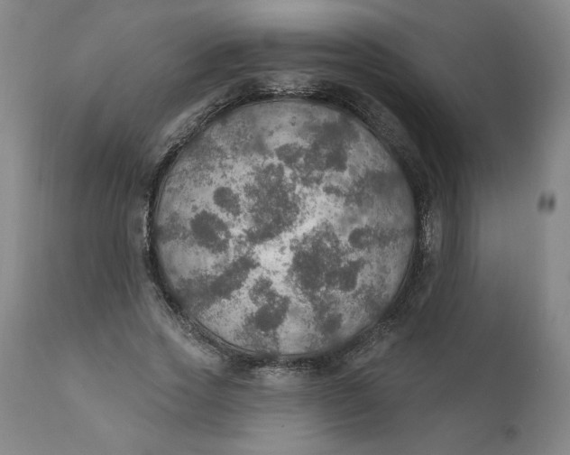 X0000112020733200908241514