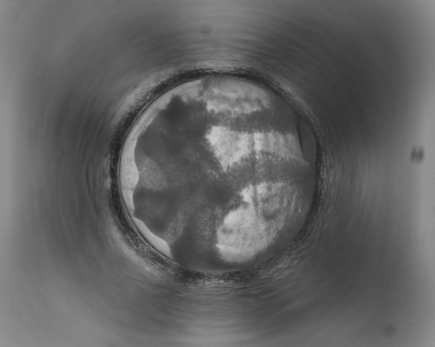 X0000112020734200908241514