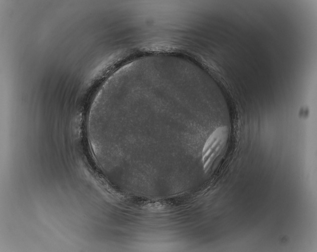 X0000112020735200908241514