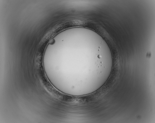 X0000112020736200908241514